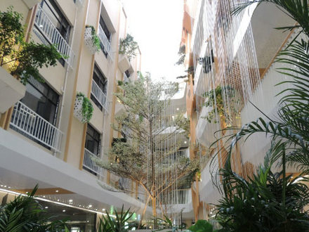 2020年！这些企业凭什么一路躺赢？？？？？